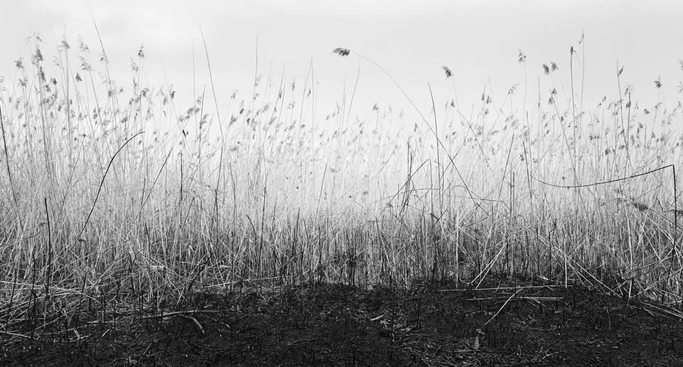 Corso di Fotografia Bianco e Nero Fine-Art