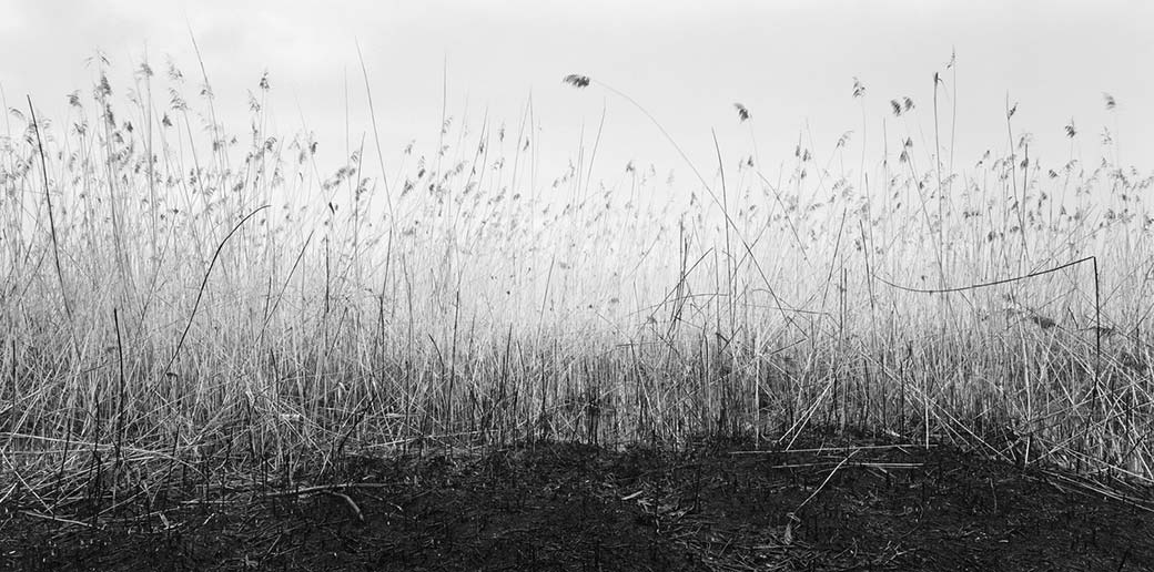 Corso di Fotografia Bianco e Nero Fine-Art